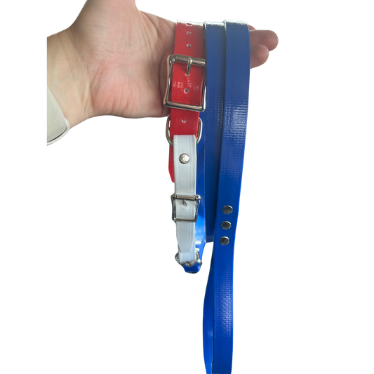 PVC Coated Webbing Collar & Lead Set