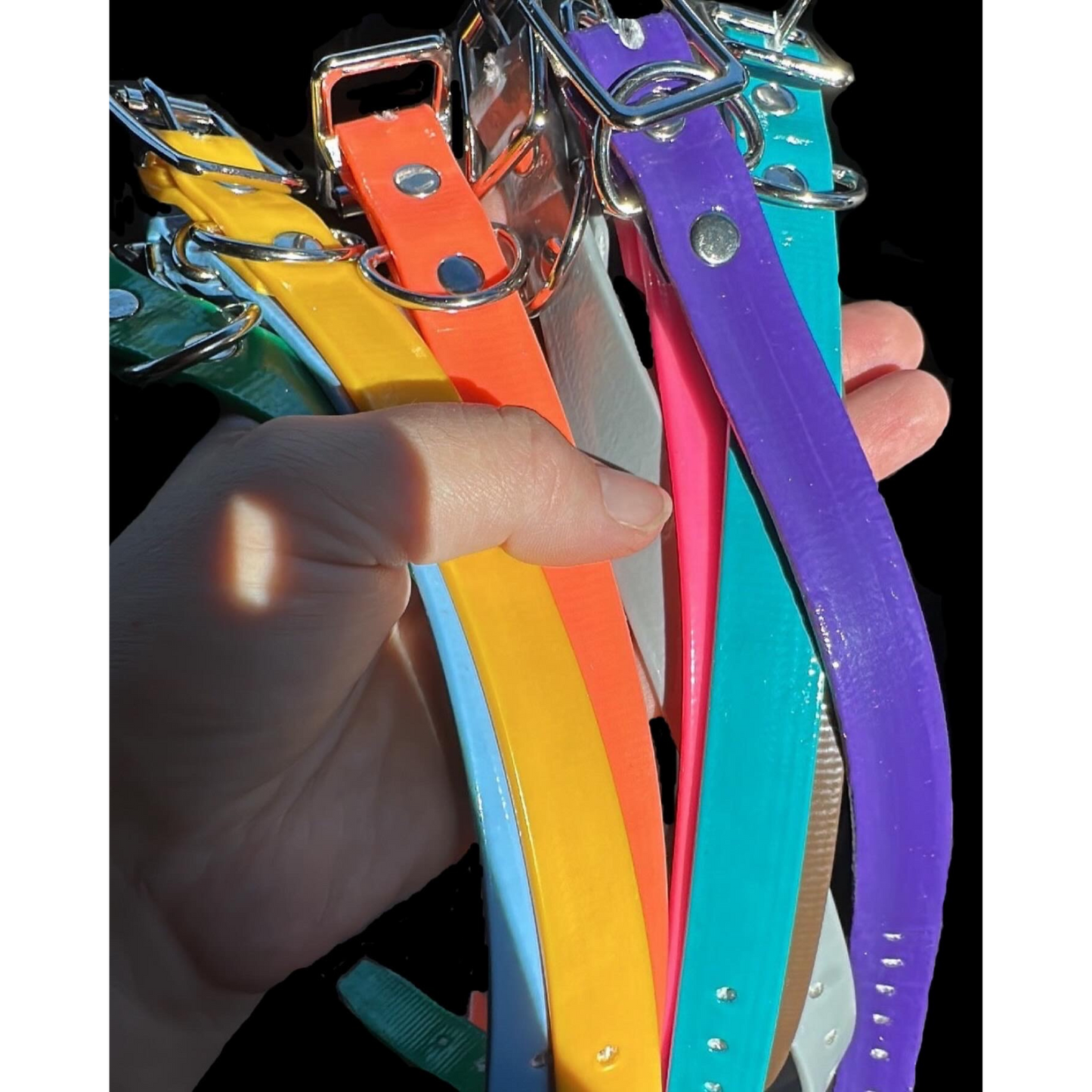 PVC Coated Webbing Collar 19mm