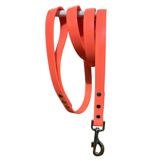 PVC Coated Webbing Lead with Snap Bolt Clip