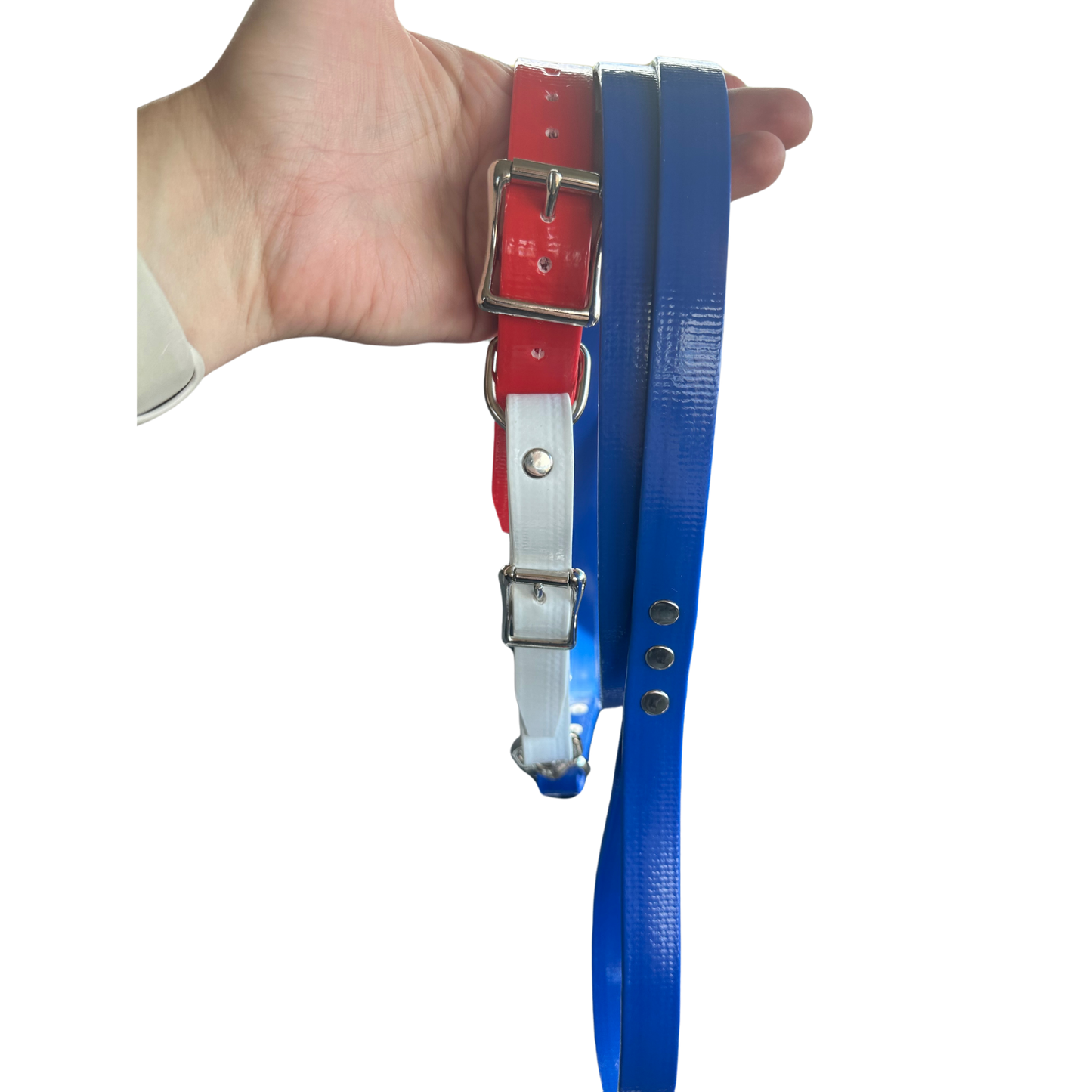 PVC Coated Webbing Collar & Lead Set