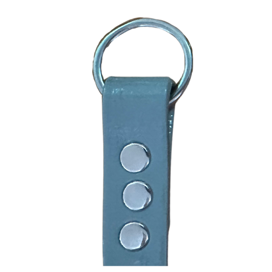 PVC Coated Webbing Slip Lead