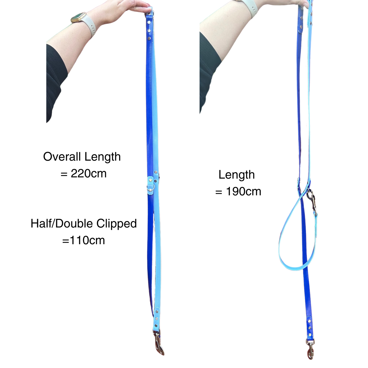 PVC Coated Webbing Handsfree Lead