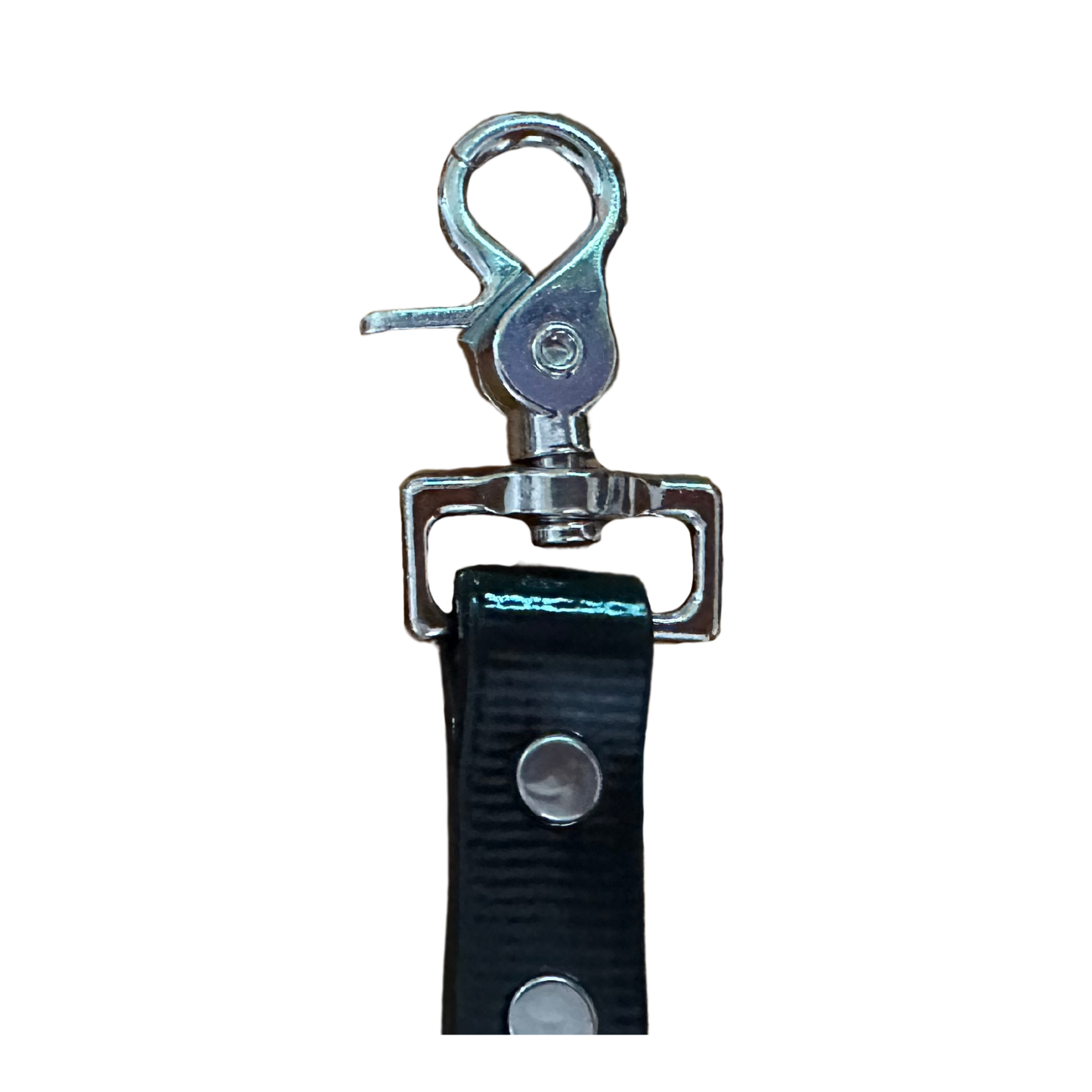 PVC Coated Webbing Lead with Scissor Trigger Clip